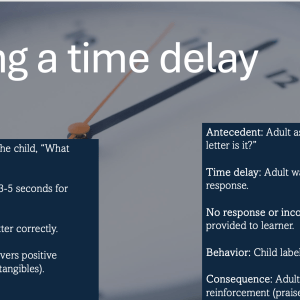 Time Delay Staff or Caregiver Training
